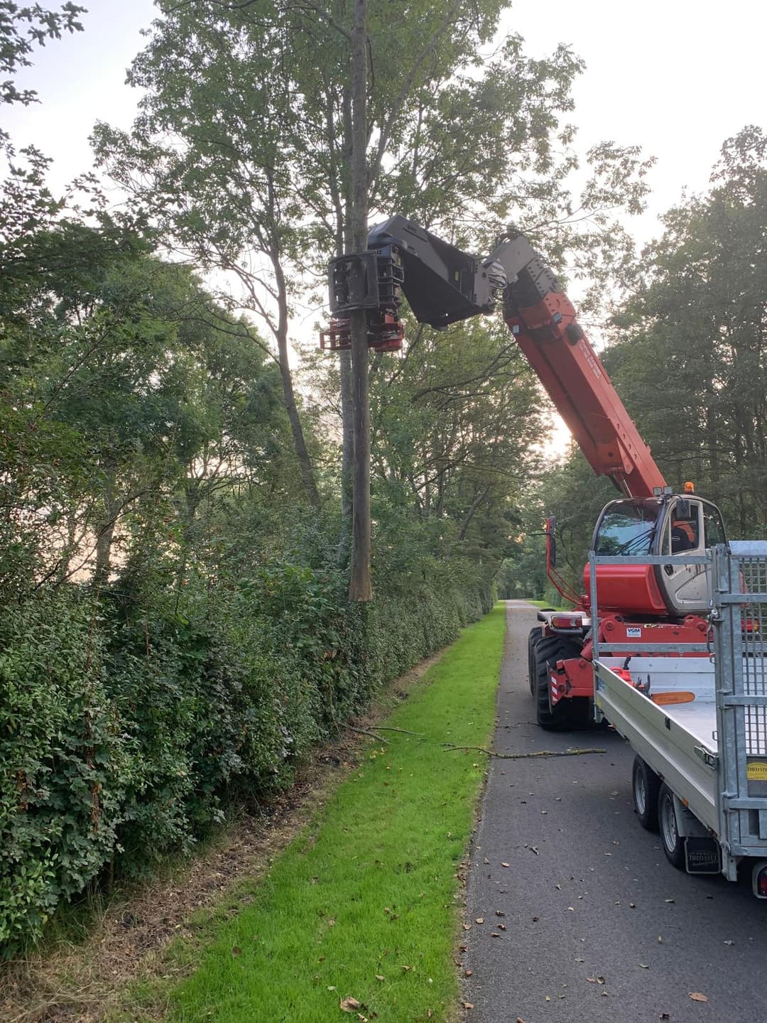 kappen van boom met bomen zaag